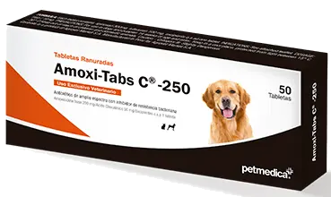 Amoxi-Tabs C 250 (Por blister)