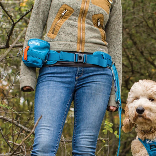 Kurgo RSG YORM Dog Treat Bag