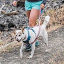 Kurgo Walk About Reins