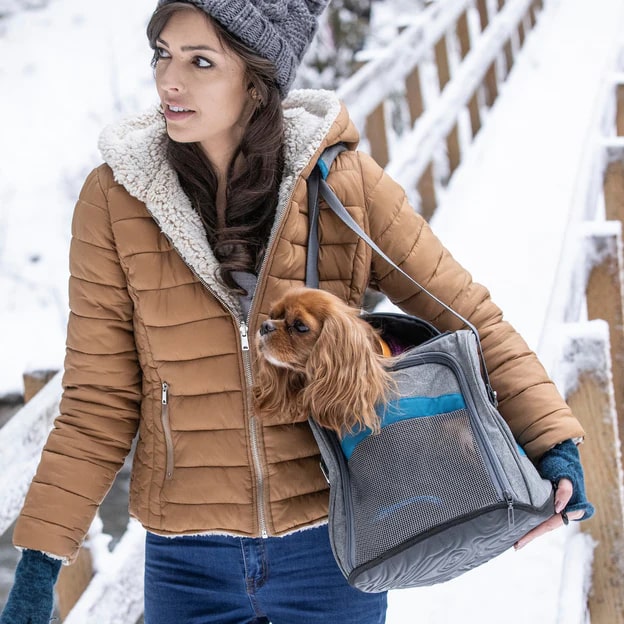 Kurgo Metro Dog Carrier