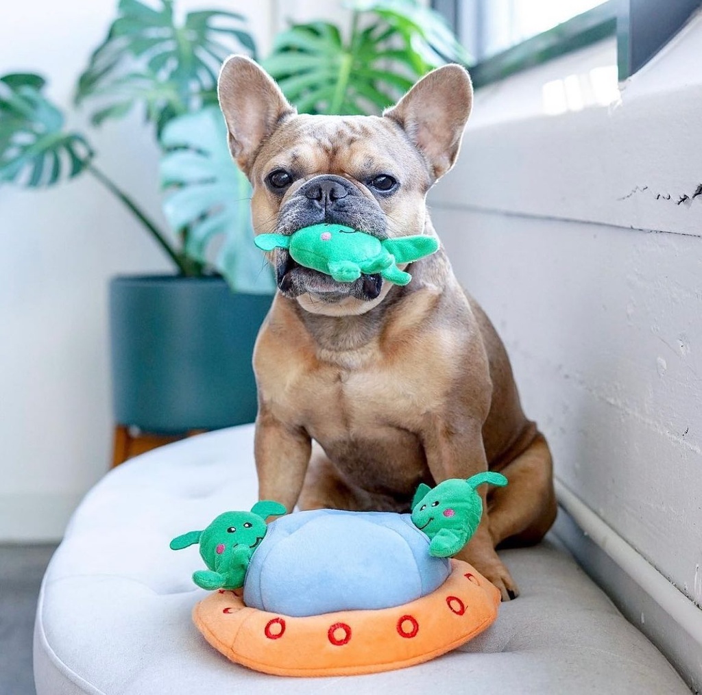 ZippyPaws Aliens in UFO