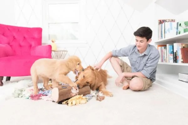 ZippyPaws Log with 3 Chipmunks