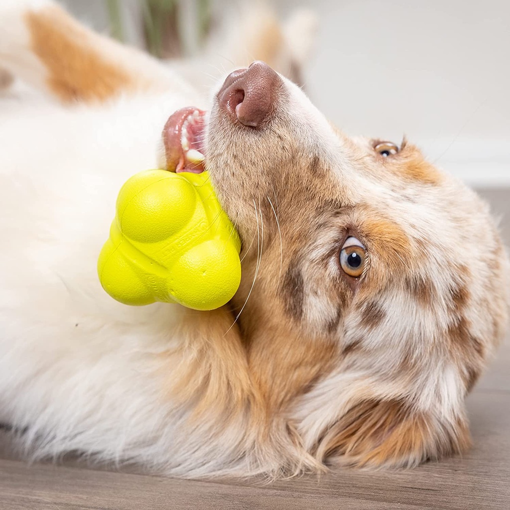 Hyper Chewz Bumpy Ball