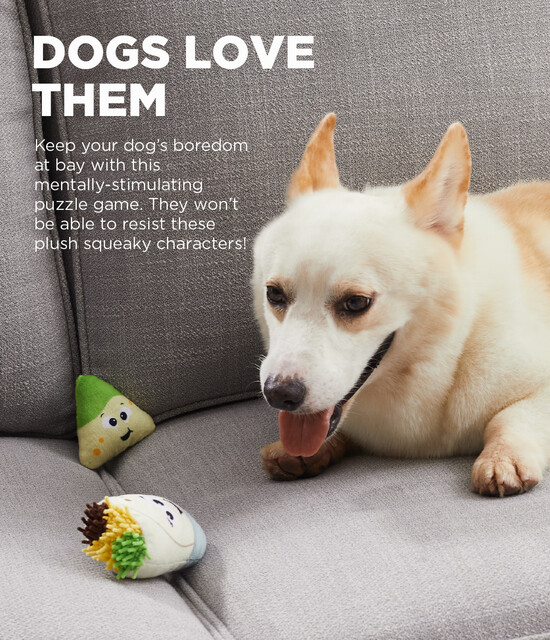 Outward Hound Hide A Taco Plush Dog Toy Puzzle, Multi