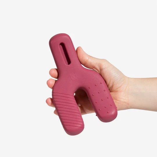 Zeedog WishBone Chew Toy