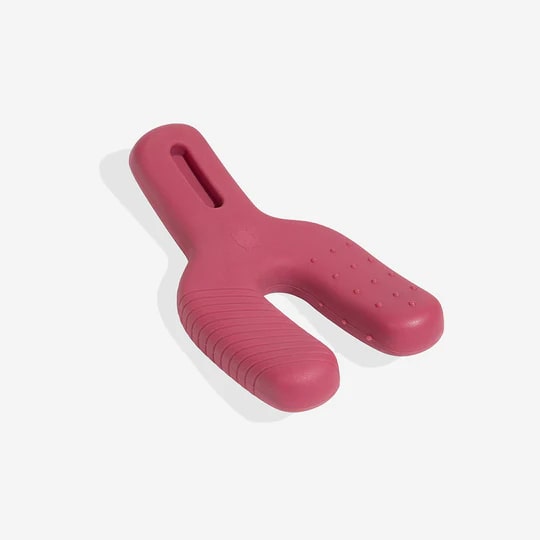 Zeedog WishBone Chew Toy