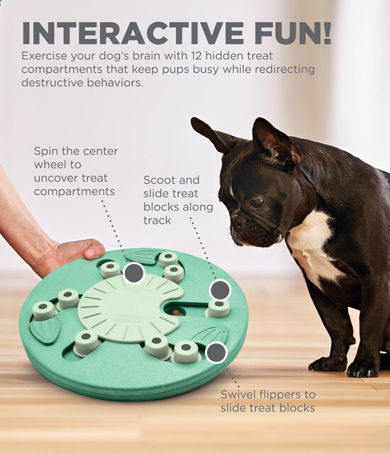 Outward Hound Dog Worker Interactive Treat Puzzle Dog Toy, Green