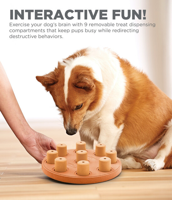 Outward Hound Dog Smart Composite Interactive Treat Puzzle Dog Toy, Orange