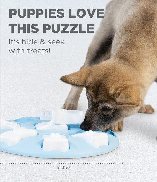 Outward Hound Puppy Smart Interactive Treat Puzzle Dog Toy, Blue