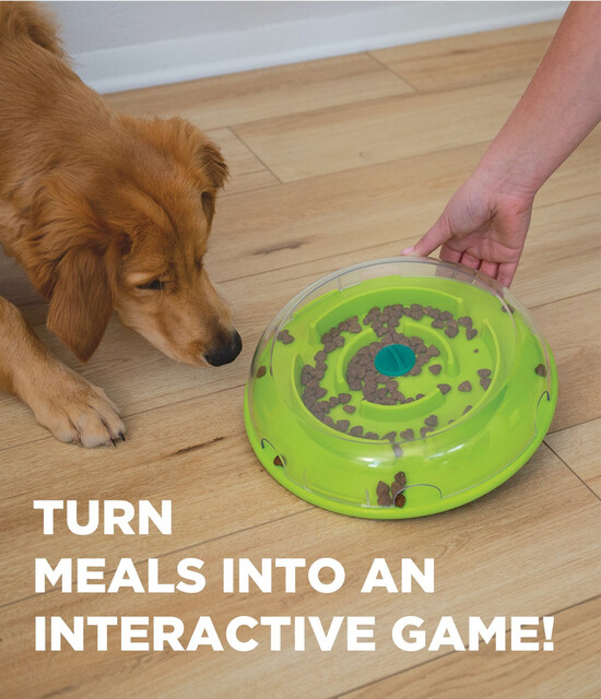 Outward Hound Wobble Bowl Interactive Treat Puzzle Dog Toy, Multi