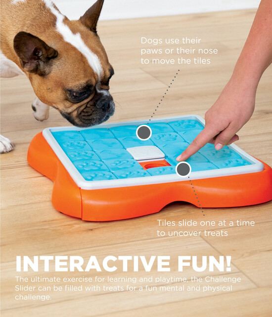 Outward Hound Challenge Slider Interactive Treat Puzzle Dog Toy, Multi
