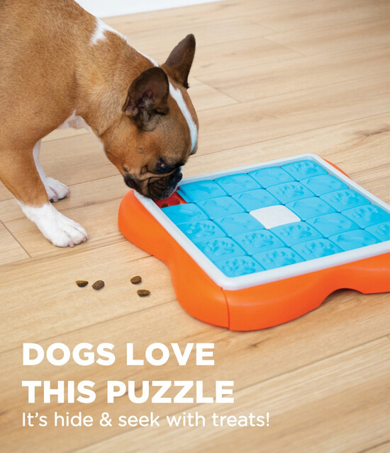 Outward Hound Challenge Slider Interactive Treat Puzzle Dog Toy, Multi