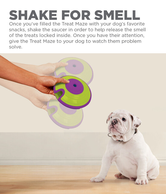 Outward Hound Treat Maze Interactive Puzzle Dog Toy, Green