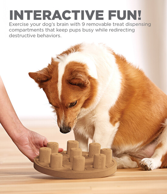 Outward Hound Dog Smart Composite Interactive Treat Puzzle Dog Toy, Tan