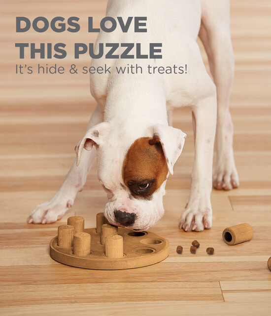 Outward Hound Dog Smart Composite Interactive Treat Puzzle Dog Toy, Tan