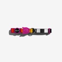Zeedog Cat Collar - Prisma