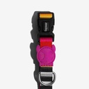 Zeedog Dog Collar - Prisma 