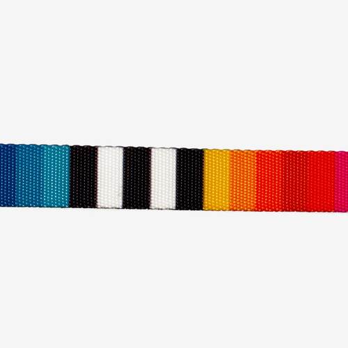Zeedog Dog Collar - Prisma 