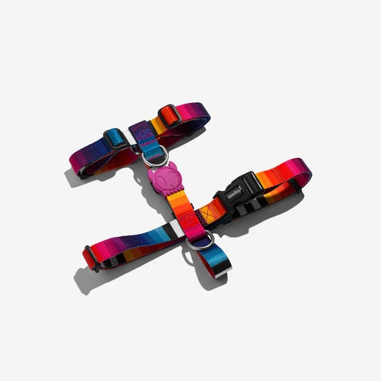 Zeedog H-Harness - Prisma