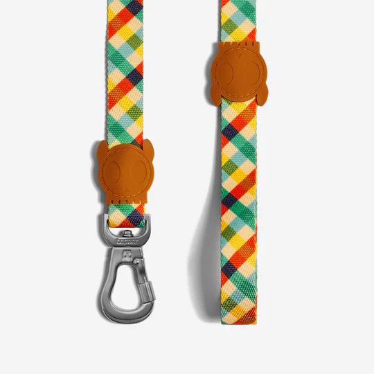 Zeedog Leash - Phantom