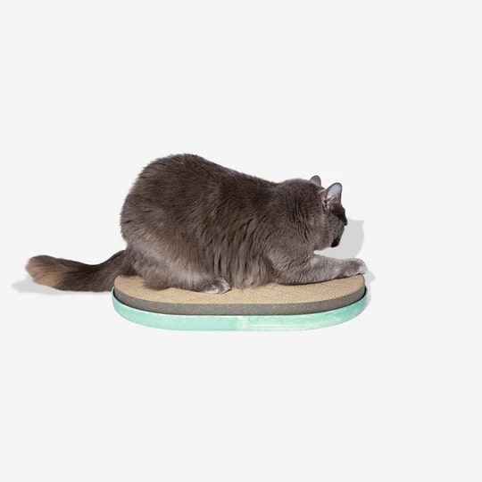 Zeedog Scratcher