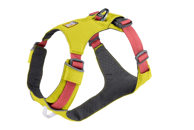 Nuevo-RuffWear Hi & Light Lightweight Dog Harness - Lichen Green