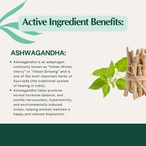 Pet Releaf Stress Releaf Calming CBD Oil For Small Dogs and Cats, USDA Organic with Ashwaganda CBD 300MG