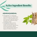 Pet Releaf Stress Releaf Calming CBD Oil For Medium/Large Dogs and Cats, USDA Organic with Ashwaganda CBD 600MG