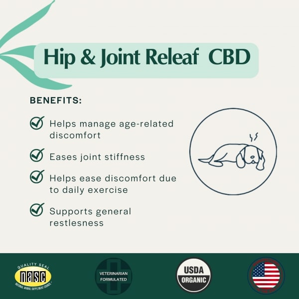 Pet Releaf Hip and Joint Releaf Mobility Oil for Small Dogs and Cats, USDA Organic with Devils Claw CBD 300MG