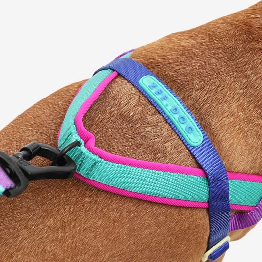 Zeedog Soft-Walk Harness - Shockwave