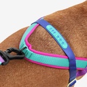Zeedog Soft-Walk Harness - Shockwave