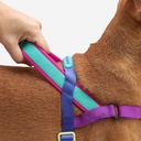 Zeedog Soft-Walk Harness - Shockwave