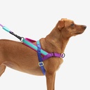 Zeedog Soft-Walk Harness - Shockwave