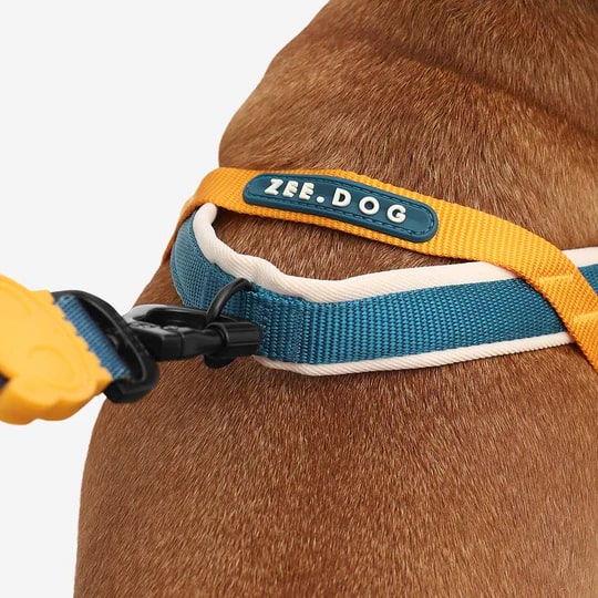 Zeedog Soft-Walk Harness - Voyage