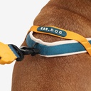 Zeedog Soft-Walk Harness - Voyage