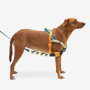 Zeedog Soft-Walk Harness - Voyage