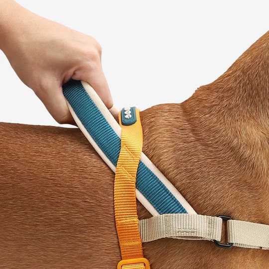 Zeedog Soft-Walk Harness - Voyage