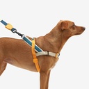 Zeedog Soft-Walk Harness - Voyage