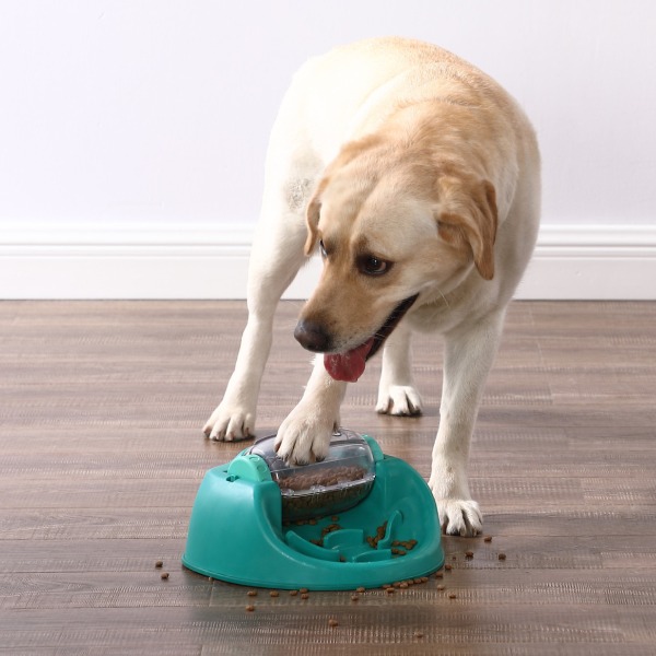 Outward Hound Dog Spin