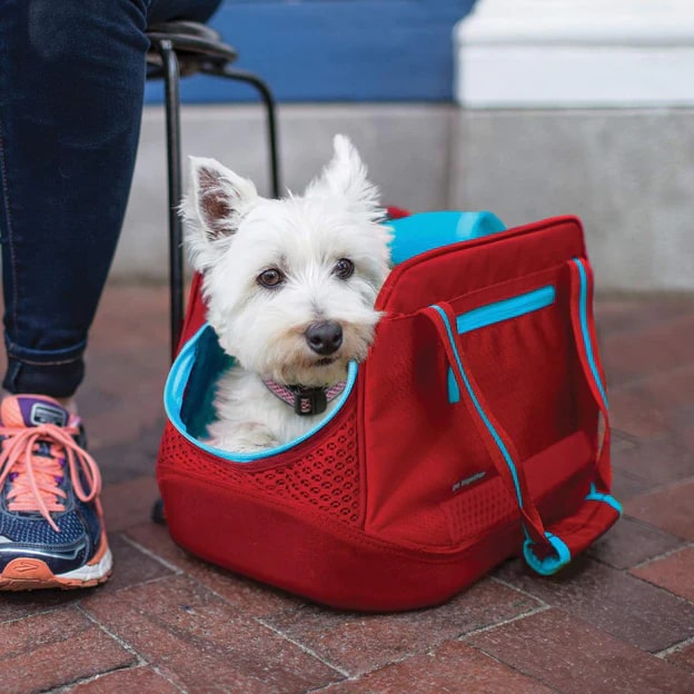 Kurgo Explorer Dog Carrier