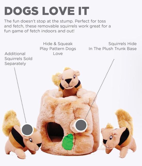 Outward Hound Hide A Toy Plush Puzzle Toy