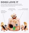 Outward Hound Hide A Toy Plush Puzzle Toy