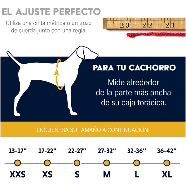 Ruffwear Swamp Cooler Dog Cooling Vest - Graphite Gray