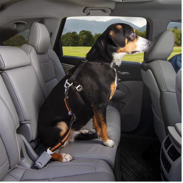 Kurgo Direct To Seatbelt Swivel Tether