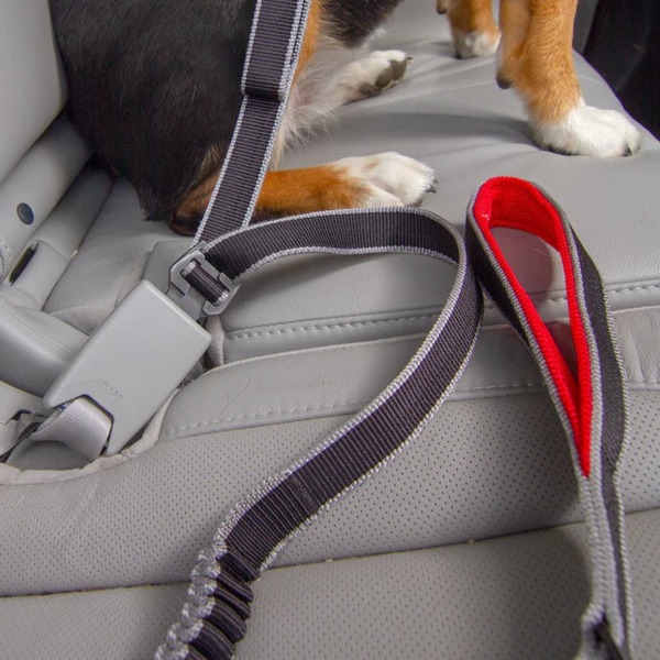 Kurgo Leash To Seatbelt Buckle