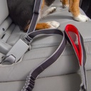 Kurgo Leash To Seatbelt Buckle