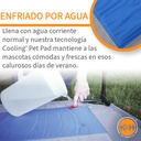 Kh Coolin Pc3042 Gry/Blu Lg