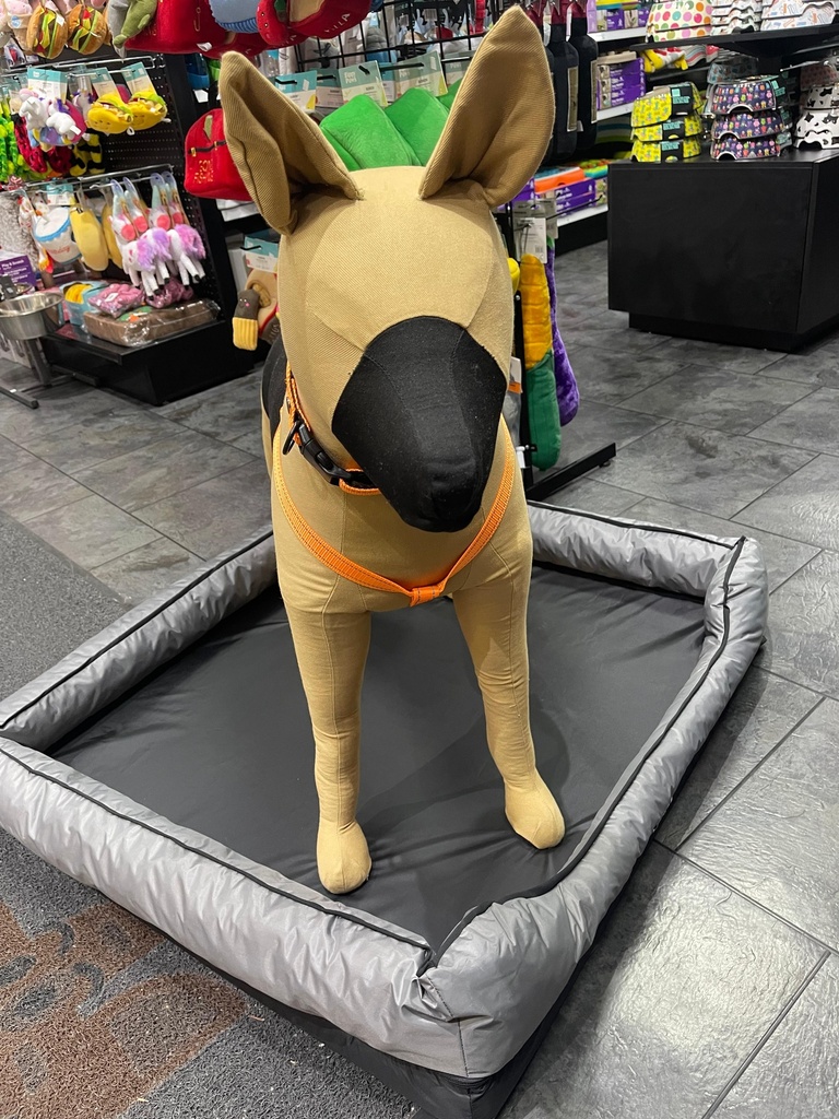 Perro Caffe Cama Impermeable