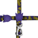 Zeedog Lords Of Zee.Town Zmiley Harness + Leash Set