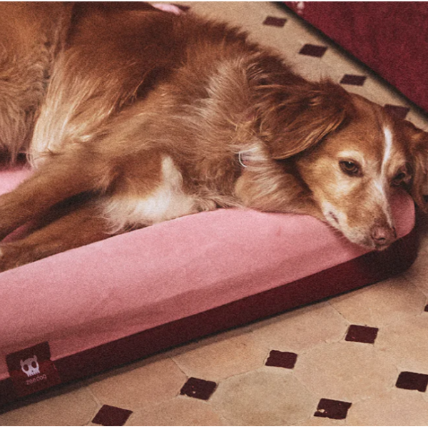 Zeedog Zee.Bed Najima L